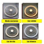 Ventilador de techo Cityluz con control remoto 4 velocidades | 63057 - Imagen 7